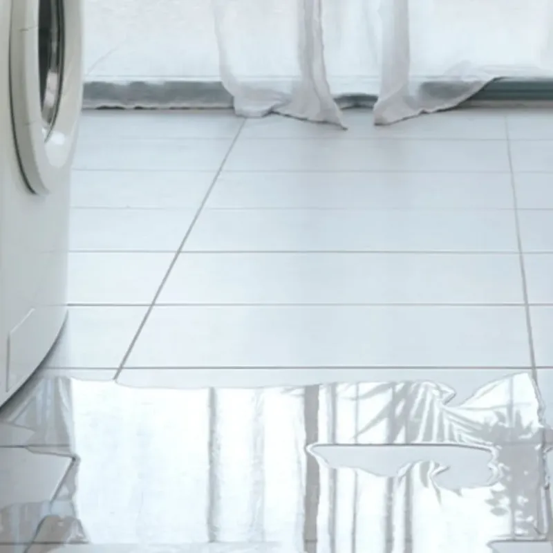 Appliance Leak Cleanup in Mount Carmel, OH