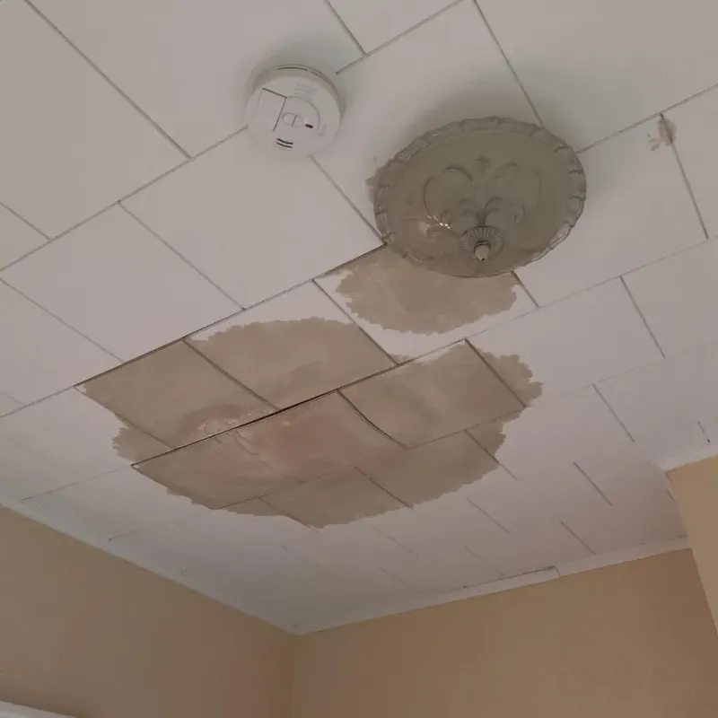 Ceiling Water Damage Repair in Mount Carmel, OH