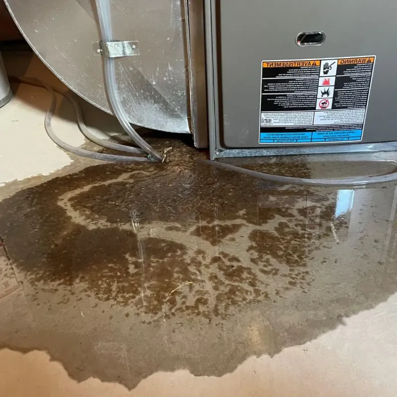 Pipe Burst and Leak Restoration in Mount Carmel, OH