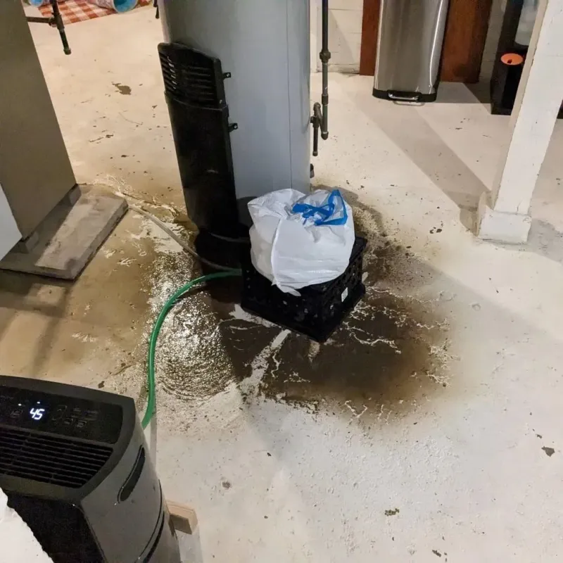 Sewage Backup Cleanup Service in Mount Carmel, OH